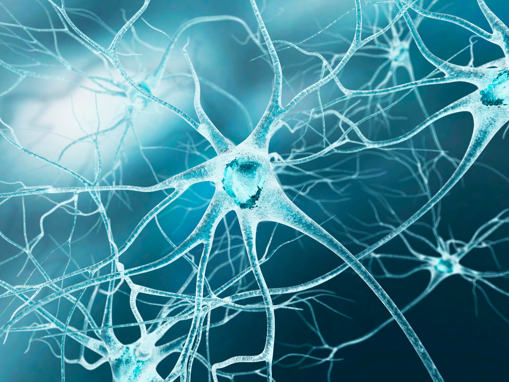 "Nerve cell